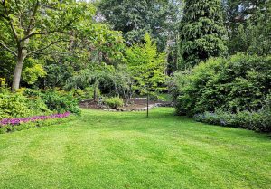 Optimiser l'expérience du jardin à Bougy-lez-Neuville